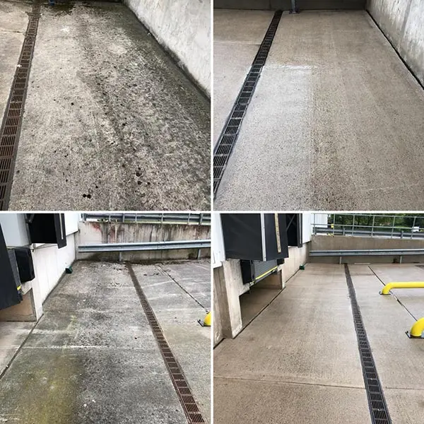 Audit Cleaning